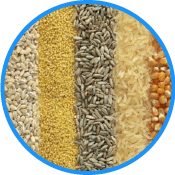 Medición de Niveles en Silos y Tanques de Cereales