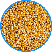 Medición de Niveles y Temperatura en Silos de Maíz
